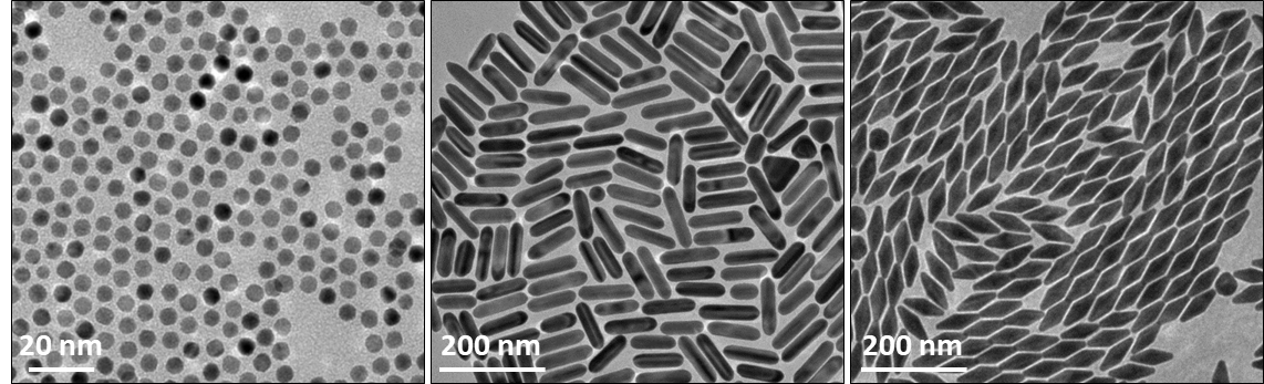 Nanoparticules d'or sous forme de sphères, de bâtonnets et de bipyramides.